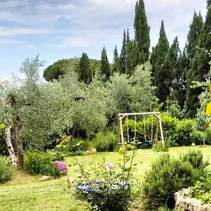 Agli Olivi Di Marciano Appartamento